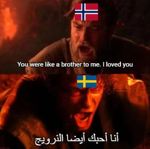 Noví Švédi